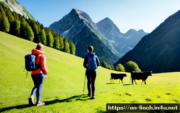 A Family-Friendly Liechtenstein Itinerary: Vaduz, Castles, Malbun, and Smart Trip Planning 3 리히텐슈타인의 가족 여행 추천 코스 관련 이미지 1